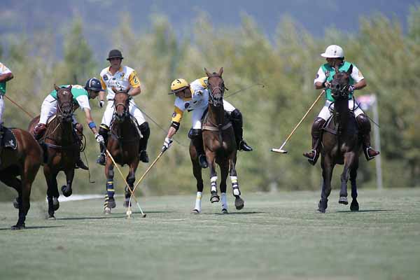 south africa v pakistan382